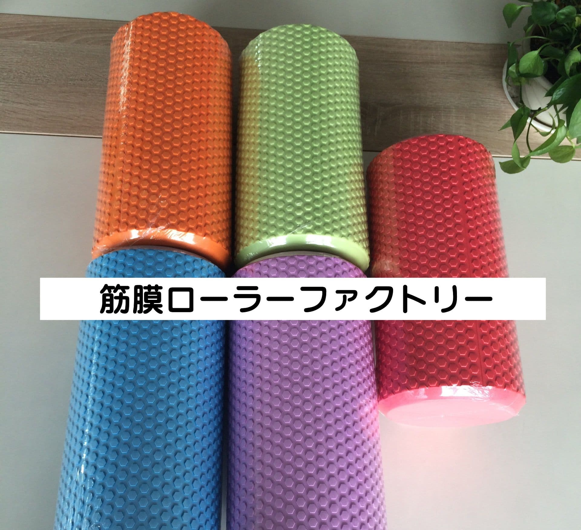 筋膜ローラー やさしい突起の柔らかめ筋膜ローラー